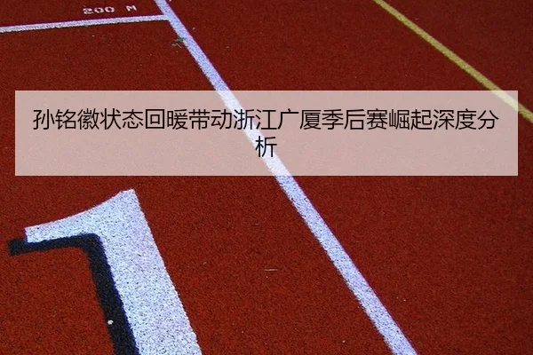 孙铭徽状态回暖带动浙江广厦季后赛崛起深度分析